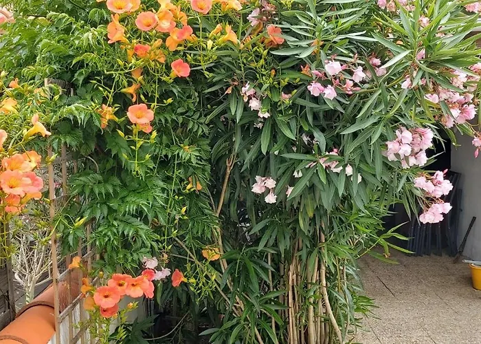Ferienhaus Maison Pour 4 Avec Terrasse A 200m De La Saint-Hilaire-de-Riez